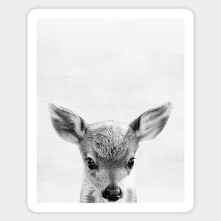 Baby deer Sticker